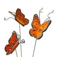 Merry Monarch